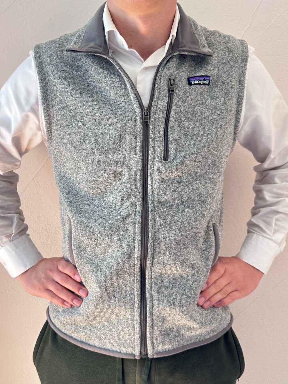 Patagonia Men's Fleece Vest